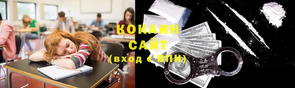 крисы Заводоуковск
