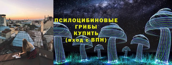 крисы Заводоуковск