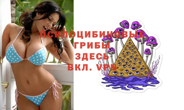 a pvp Заволжье