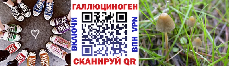 Галлюциногенные грибы мухоморы  Купить где  Зубцов 