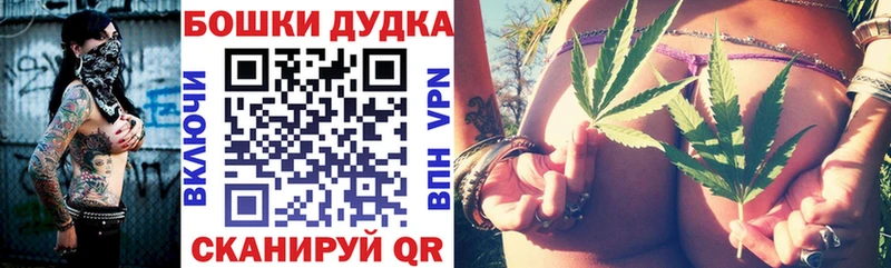 Бошки Шишки SATIVA & INDICA  Купить закладки  Зубцов 